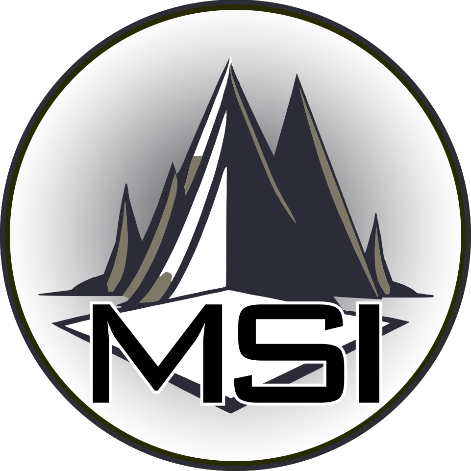 MS Insights Logo